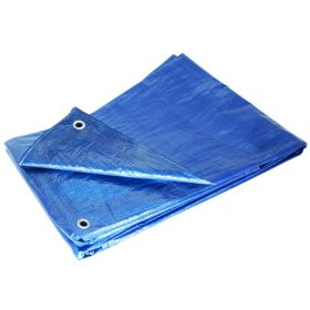 Blue 30 x 40 Tarp